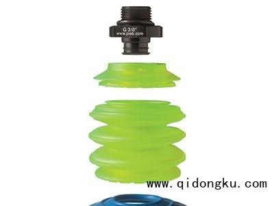 海綿吸具結(jié)構(gòu)特點是什么(圖1) 海綿吸具結(jié)構(gòu)特點是什么(圖1)
